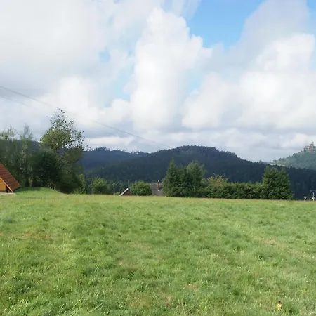 Chalet In Dabo Near Castle Ruins, Cleaning Included La Hoube